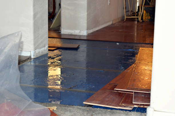 Professional Basement Flood Cleanup technician working in Girard, PA
